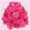 24 Pink Roses For You